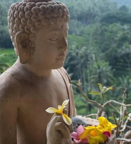 Heaven View 4 A Ubud